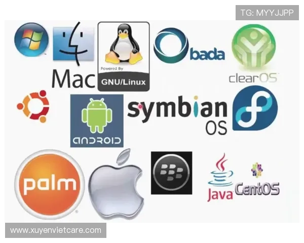 K8平台官网下载最新版本指南，全面支持多平台操作确保用户体验提升